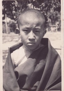 DJKR-very-young-322x460